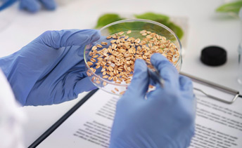 Análisis físico-químico: control de calidad en cada etapa