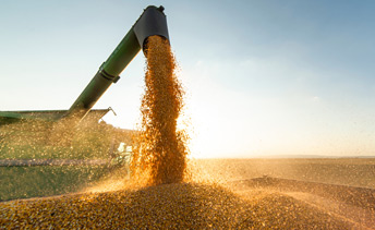 Exiprem: calidad, sostenibilidad y tecnología natural en el procesamiento de soja NO GMO